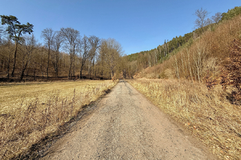 Prodej pozemku, 3094 m2, Medonosy