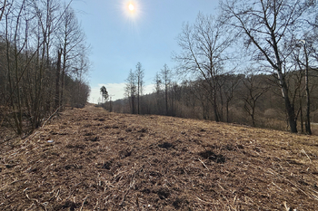 Prodej pozemku, 18162 m2, Medonosy