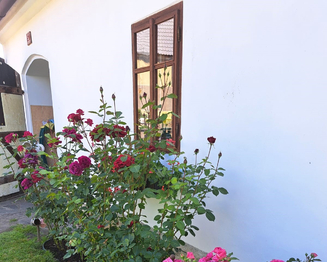 Prodej domu, 80 m2, Úštěk
