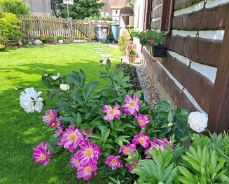 Prodej domu, 80 m2, Úštěk