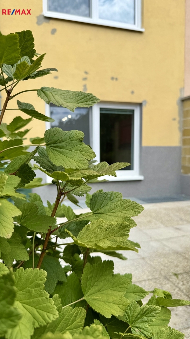Pronájem bytu 2+kk v osobním vlastnictví, 52 m2, Brno