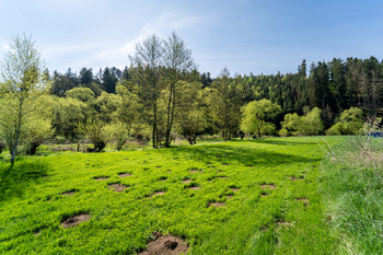 Prodej pozemku, 2100 m2, Vlastějovice