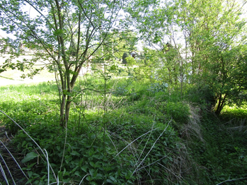 Prodej pozemku, 351 m2, Kamenná Horka