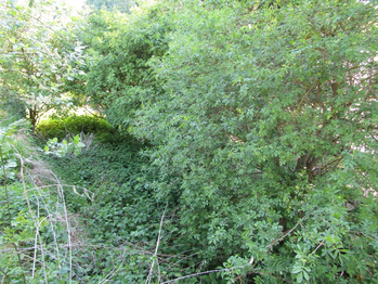 Prodej pozemku, 351 m2, Kamenná Horka