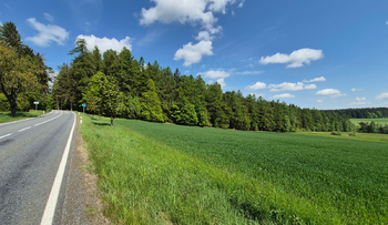 Prodej pozemku, 7429 m2, Borová