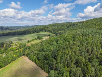 Prodej domu, 56 m2, Paseky