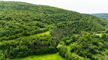 Prodej pozemku, 2004 m2, Beroun