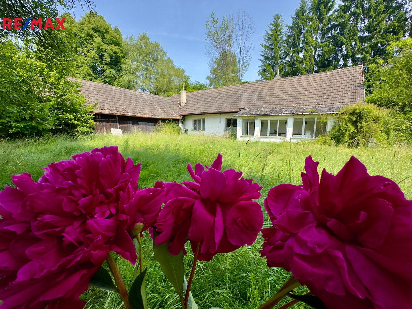 Prodej domu, 100 m2, Nová Ves nad Lužnicí