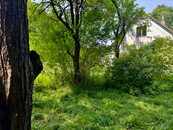 Prodej domu, 100 m2, Nová Ves nad Lužnicí