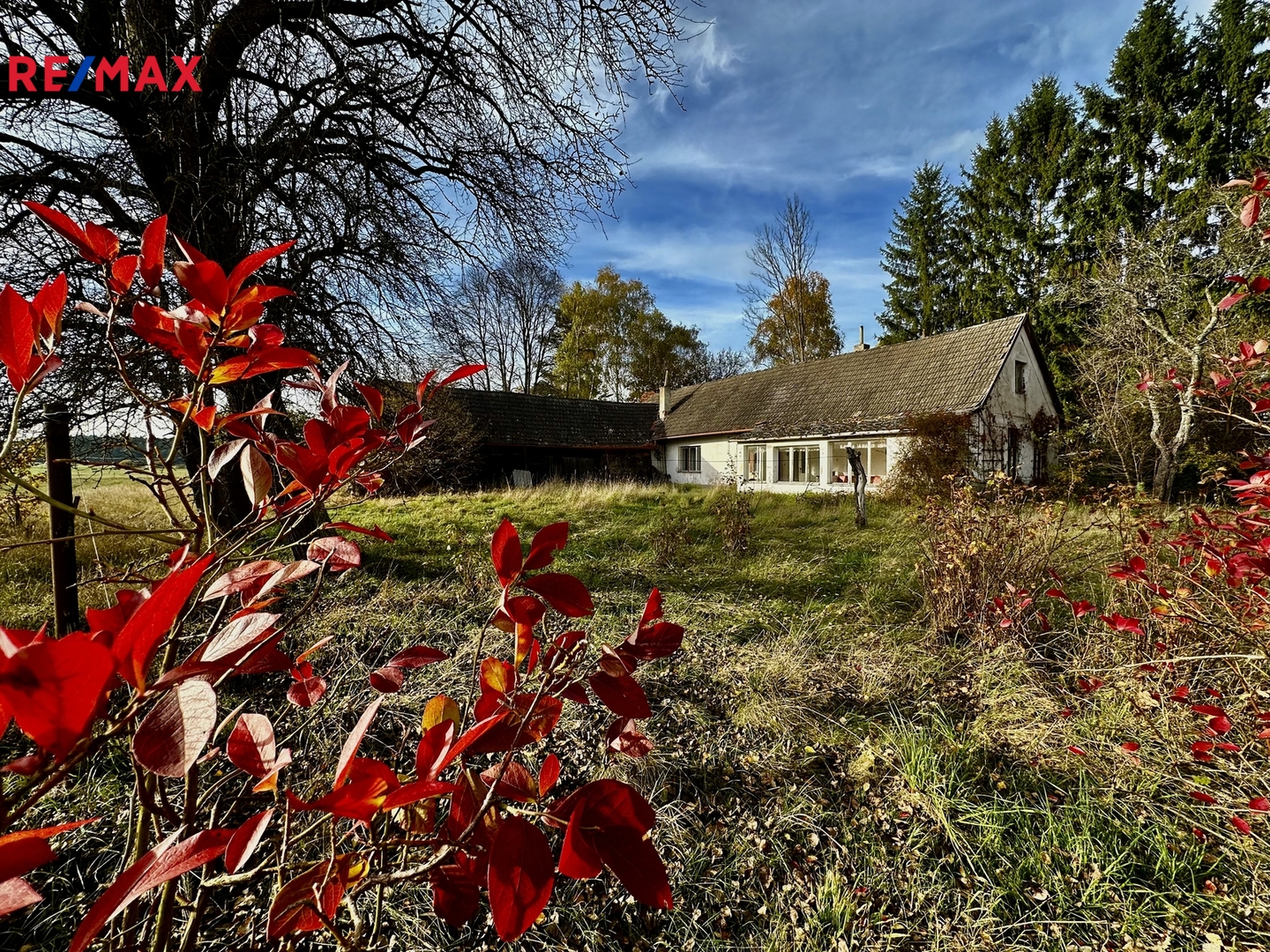 Prodej domu, 100 m2, Nová Ves nad Lužnicí
