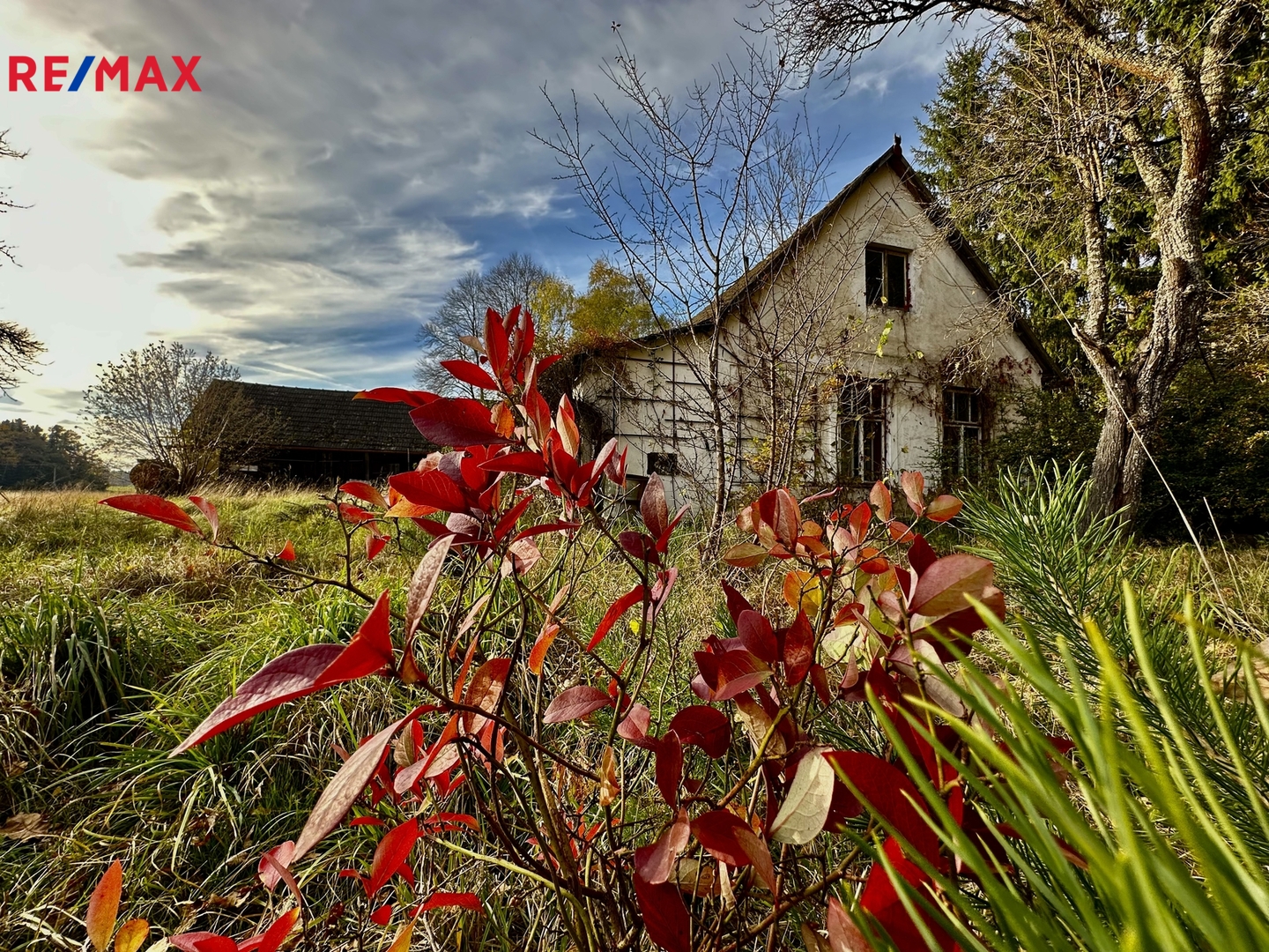 Prodej domu, 100 m2, Nová Ves nad Lužnicí