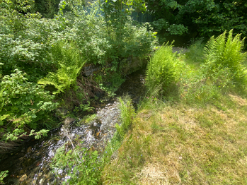 Prodej domu, 140 m2, Kraslice