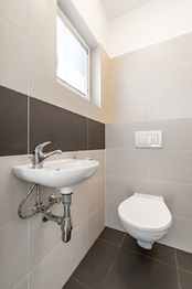 Pronájem domu, 110 m2, Bašť