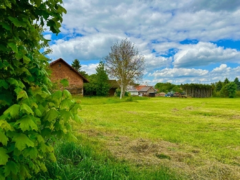Prodej pozemku, 3500 m2, Krouna
