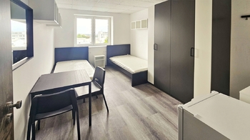 Pronájem bytu Pokoj v osobním vlastnictví, 34 m2, Brno