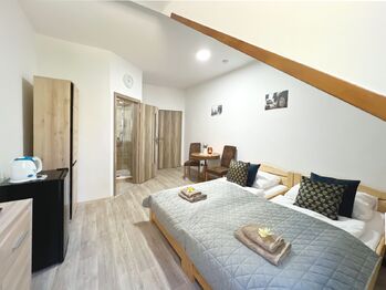 Pronájem bytu v osobním vlastnictví, 392 m2, Volary