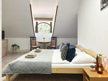 Pronájem bytu v osobním vlastnictví, 392 m2, Volary