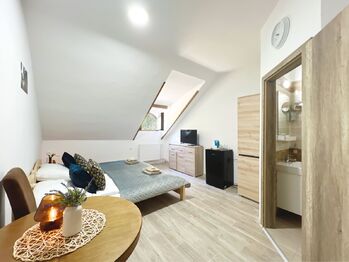 Pronájem bytu v osobním vlastnictví, 392 m2, Volary