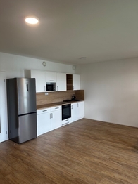 Pronájem bytu 1+kk v osobním vlastnictví, 62 m2, Hluboká nad Vltavou