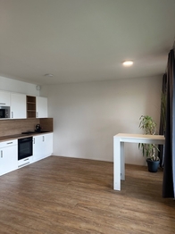 Pronájem bytu 1+kk v osobním vlastnictví, 62 m2, Hluboká nad Vltavou