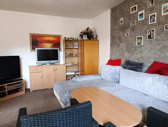 Prodej domu, 103 m2, Bžany
