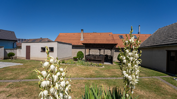 Prodej domu, 180 m2, Cehnice