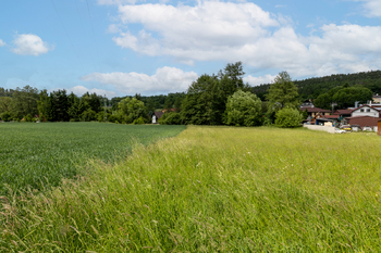 Prodej pozemku, 2512 m2, Rabyně