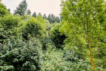 Prodej bytu 2+kk v osobním vlastnictví, 55 m2, Jeseník
