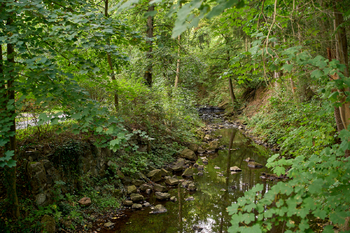 Prodej domu, 98 m2, Spálené Poříčí