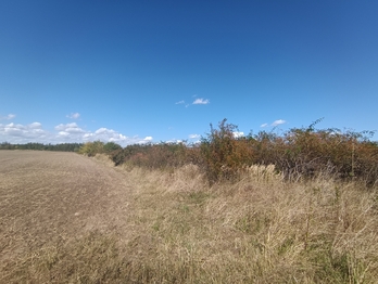 Prodej pozemku, 4554 m2, Úvaly