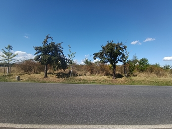 Prodej pozemku, 4554 m2, Úvaly