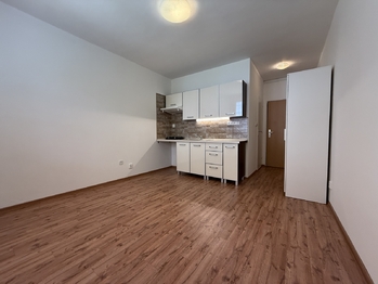 Pronájem bytu 1+kk v osobním vlastnictví, 19 m2, Ústí nad Labem