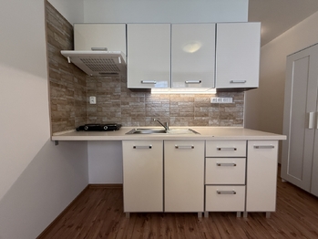 Pronájem bytu 1+kk v osobním vlastnictví, 19 m2, Ústí nad Labem