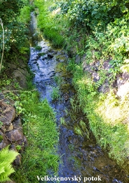 Prodej pozemku, 2646 m2, Velký Šenov