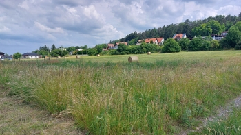 Prodej pozemku, 7793 m2, Všetaty
