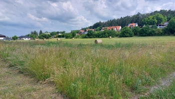 Prodej pozemku, 7793 m2, Všetaty