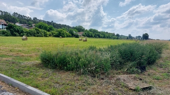 Prodej pozemku, 7793 m2, Všetaty
