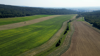 Prodej pozemku, 28042 m2, Račice-Pístovice