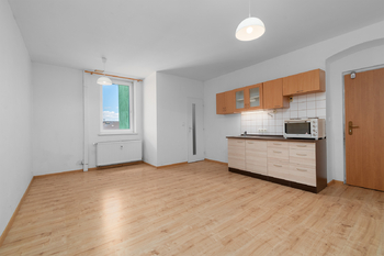 Pronájem bytu 1+kk v osobním vlastnictví, 30 m2, Plzeň