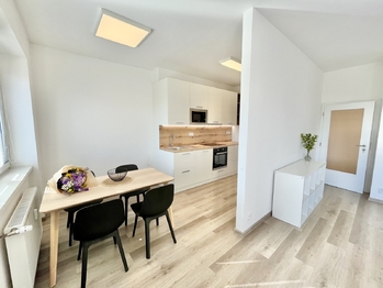 Pronájem bytu 2+kk v osobním vlastnictví, 60 m2, Praha 7 - Holešovice