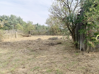 Prodej domu, 80 m2, Čistá