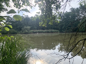 Prodej domu, 80 m2, Čistá