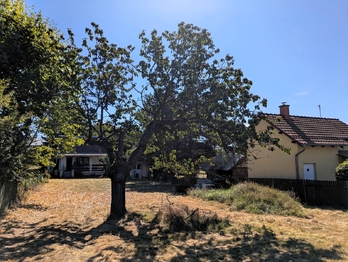 Prodej chaty / chalupy, 48 m2, Roudnice nad Labem