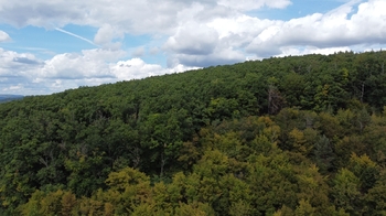 Prodej pozemku, 22668 m2, Lelekovice