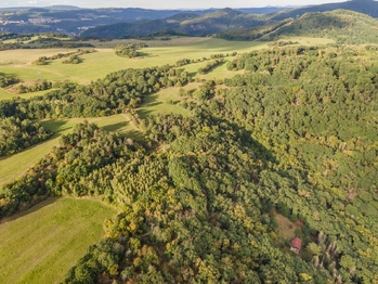 Prodej domu, 166 m2, Dolní Zálezly