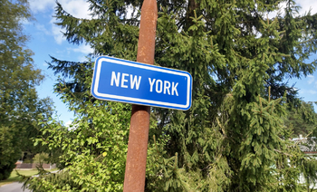 Prodej pozemku, 1001 m2, Suchdol nad Lužnicí