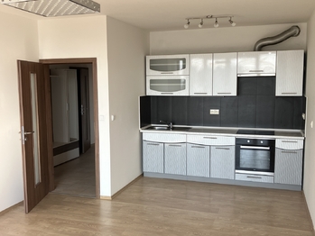 Pronájem bytu 2+kk v osobním vlastnictví, 71 m2, Plzeň