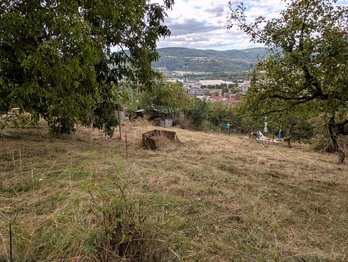Prodej chaty / chalupy, 25 m2, Ústí nad Labem