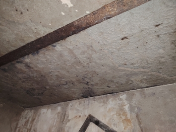 Prodej domu, 70 m2, Místo