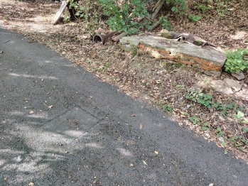 Prodej domu, 70 m2, Místo